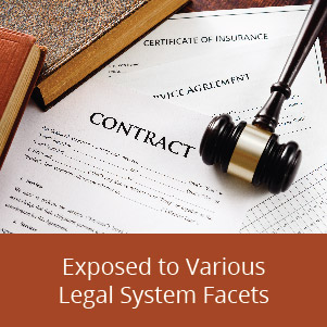 Exposed to Various Legal System Facets